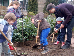 De jeugd van de Jonker Sloetlaan plant
                          meer bomen!